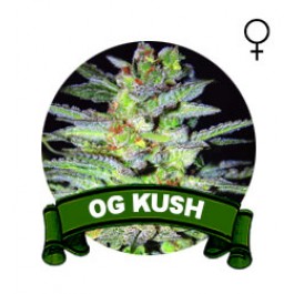 comprar semillas marihuana og kush