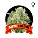 Auto Skunk Houseplant Seeds