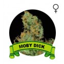 Moby Dick Houseplant Seeds