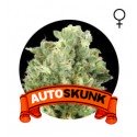 Auto Skunk Houseplant Seeds