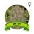 Ak 47 Houseplant Seeds