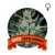 Auto Jack Herer Houseplant Seeds