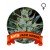 Auto Jack Herer Houseplant Seeds