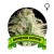 Amnesia Houseplant Seeds