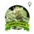 American Haze Houseplant Seeds