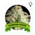 Amnesia Houseplant Seeds