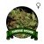 Cheese Houseplant Seeds