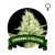 Somango X Critical Houseplant Seeds